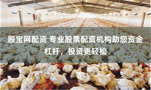 股宝网配资 专业股票配资机构助您资金杠杆，投资更轻松