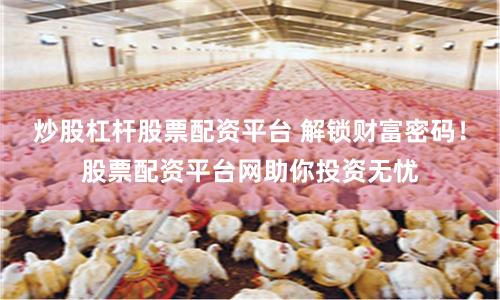 炒股杠杆股票配资平台 解锁财富密码！股票配资平台网助你投资无忧